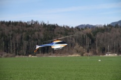 IMG_2243_19