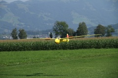 IMG_2795_19