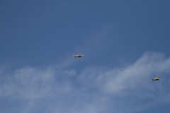 IMG_3090_19