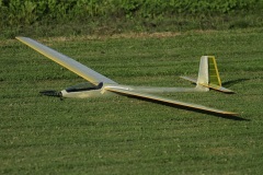 IMG_3923_19