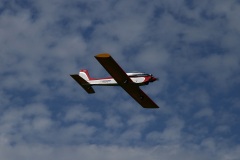 IMG_2451_21