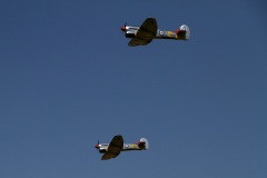 IMG_2754_21