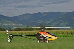 IMG_4991