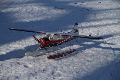 IMG_6865_22
