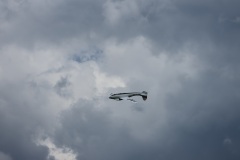 IMG_4416