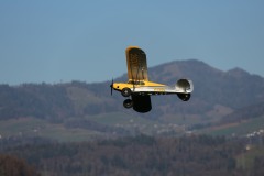 IMG_1198