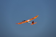 IMG_8359