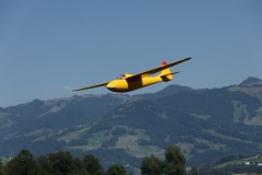 IMG_8431